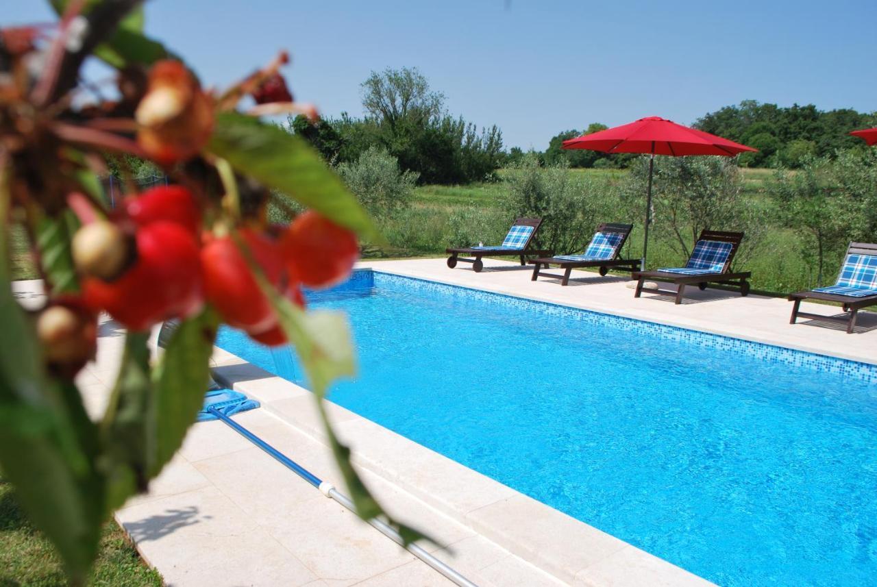 Villa Dorina Barban エクステリア 写真