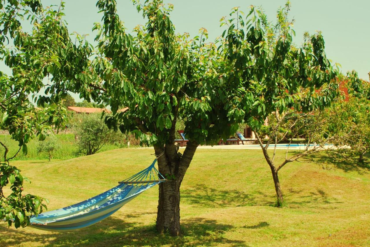 Villa Dorina Barban エクステリア 写真