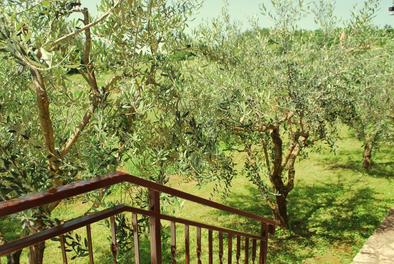 Villa Dorina Barban エクステリア 写真