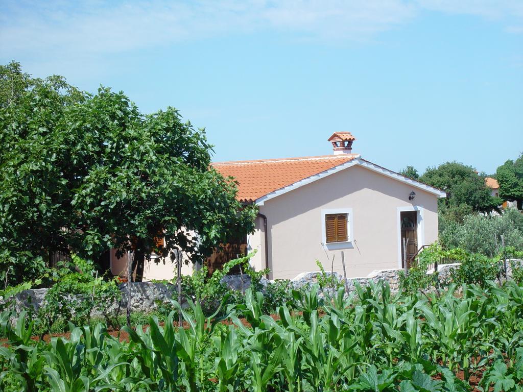 Villa Dorina Barban 部屋 写真